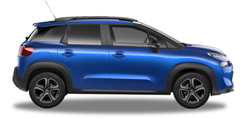 Princess Garage Category D: Hyundai i20 (representative image)