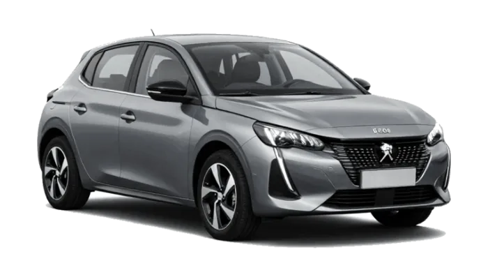 Princess Garage Category C: Peugeot 208 or similar (representative image)